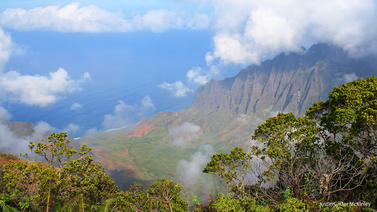 Heavenly Hawaii - Overlooking Kauai Valley From the Pihea Trail