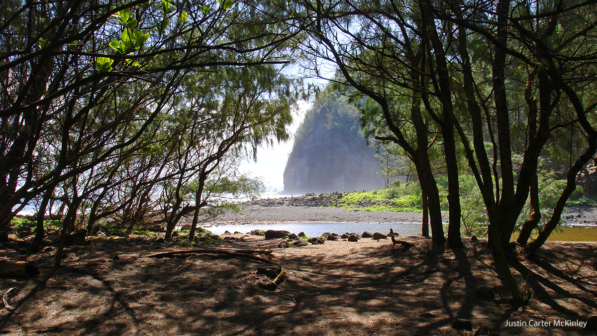 Heavenly Hawaii - River Valley to the Shore on the Big Island