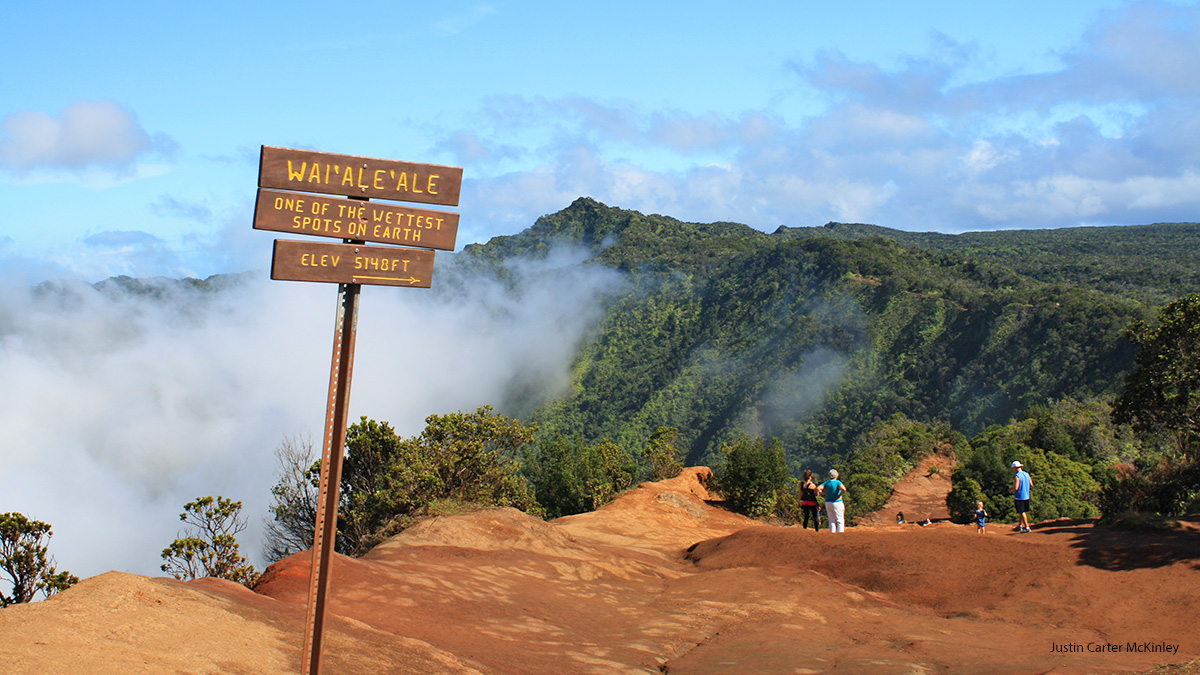 Heavenly Hawaii - Trail to Wai'Ale'Ale - Kauai