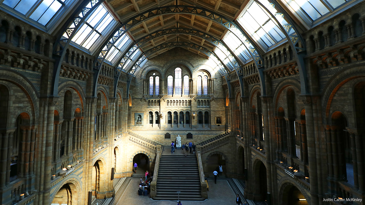 London - Natural History Museum - Architecture or the Grand Hall With a Sunbeam Creating a Big "Y" of Light